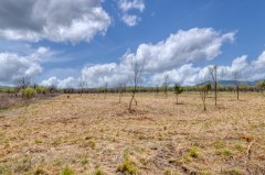 Suttle and Company Real Estate