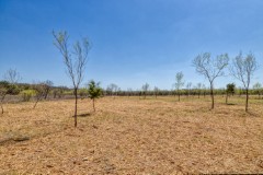 Suttle and Company Real Estate