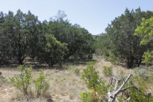 Texas Hill Country and Frio Canyon Properties