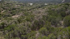 Suttle and Company Real Estate