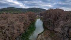 Suttle and Company Real Estate