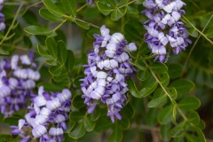 Suttle and Company Real Estate