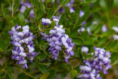 Suttle and Company Real Estate