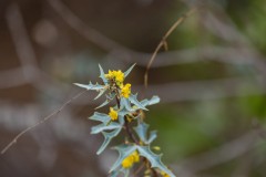 Suttle and Company Real Estate