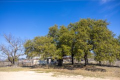 Suttle and Company Real Estate
