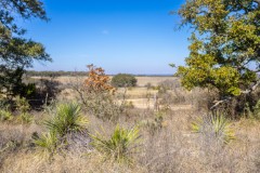 Suttle and Company Real Estate
