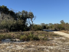 Suttle and Company Real Estate