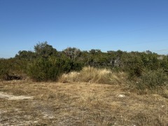 Suttle and Company Real Estate