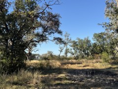 Suttle and Company Real Estate