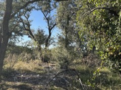 Suttle and Company Real Estate