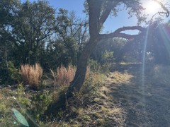 Suttle and Company Real Estate