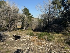 Suttle and Company Real Estate