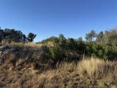 Suttle and Company Real Estate