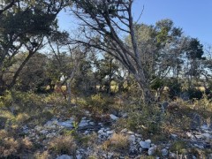 Suttle and Company Real Estate