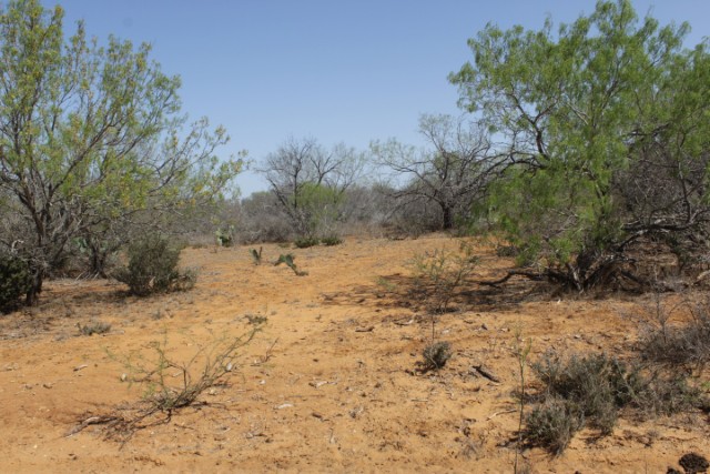 Suttle and Company Real Estate