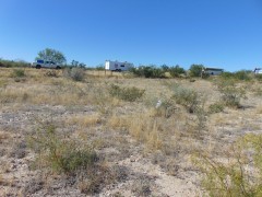 Suttle and Company Real Estate