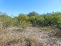 Suttle and Company Real Estate