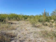 Suttle and Company Real Estate