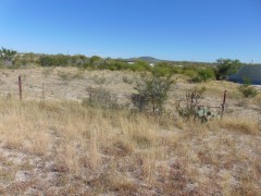 Suttle and Company Real Estate