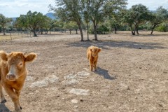 Suttle and Company Real Estate