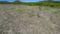 Suttle and Company Real Estate