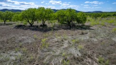 Suttle and Company Real Estate