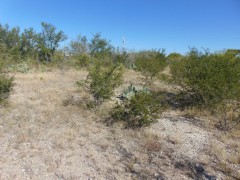 Suttle and Company Real Estate