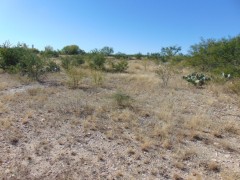 Suttle and Company Real Estate