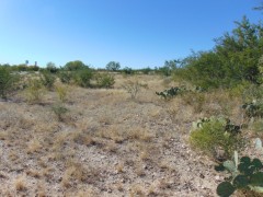 Suttle and Company Real Estate