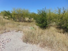 Suttle and Company Real Estate