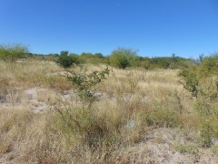 Suttle and Company Real Estate