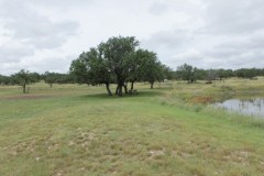 Suttle and Company Real Estate