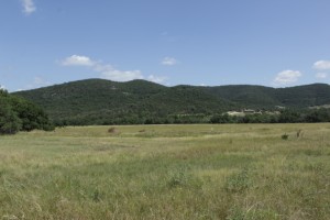 Texas Hill Country and Frio Canyon Properties