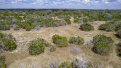 Suttle and Company Real Estate