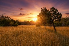 Suttle and Company Real Estate