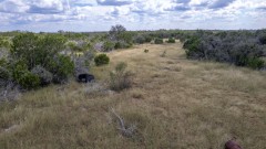 Suttle and Company Real Estate