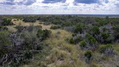 Suttle and Company Real Estate