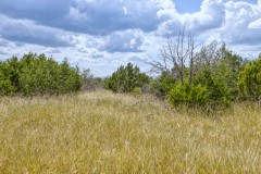 Suttle and Company Real Estate