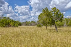 Suttle and Company Real Estate