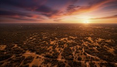 Suttle and Company Real Estate