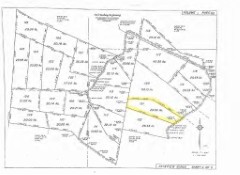 Suttle and Company Real Estate