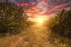 Suttle and Company Real Estate