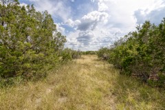 Suttle and Company Real Estate