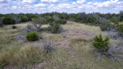 Suttle and Company Real Estate