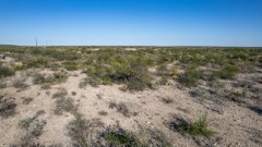 Suttle and Company Real Estate