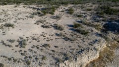 Suttle and Company Real Estate