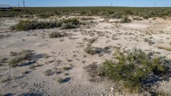 Suttle and Company Real Estate