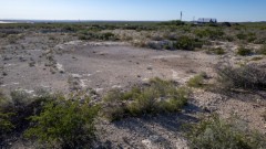 Suttle and Company Real Estate