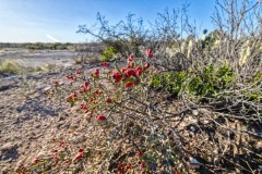 Suttle and Company Real Estate