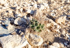 Suttle and Company Real Estate